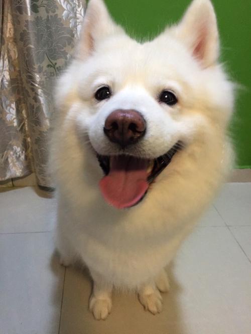 һܲƾ:ծȯͨƿɴ йڿһ