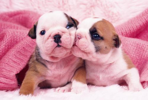 ͻ˹йԮͻҽƶӰ䷢֤