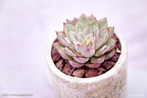 朝鲜不断开发利用各种能源资源改善电力供应