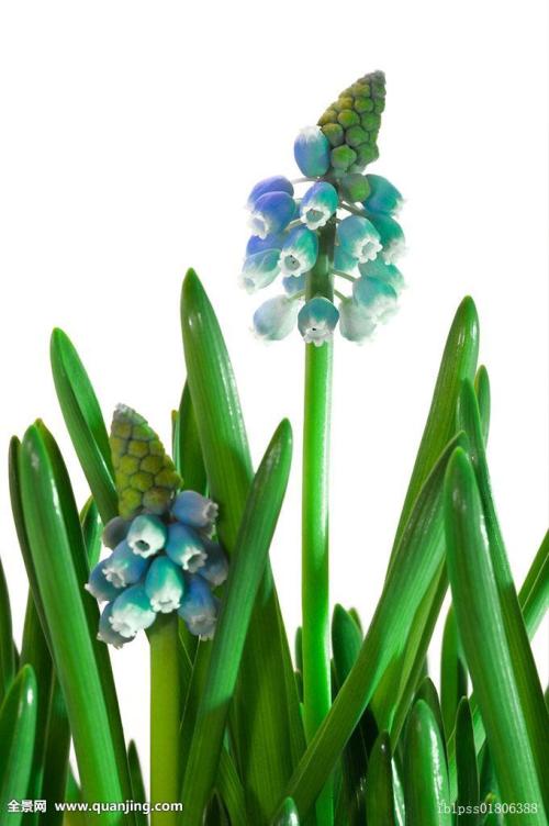 ޵ǵ1 ڹ˹Ǻ˵վݹر