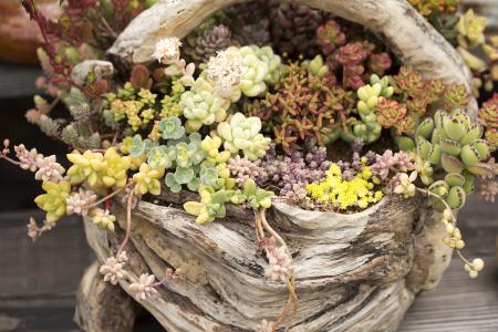 ¼ÖçëÁÁÈÎÏÌÑôÊдúÊг¤ Àä¾¢ËÉ´ÇÈ¥ÏÌÑôÊÐÊг¤Ö°Îñ