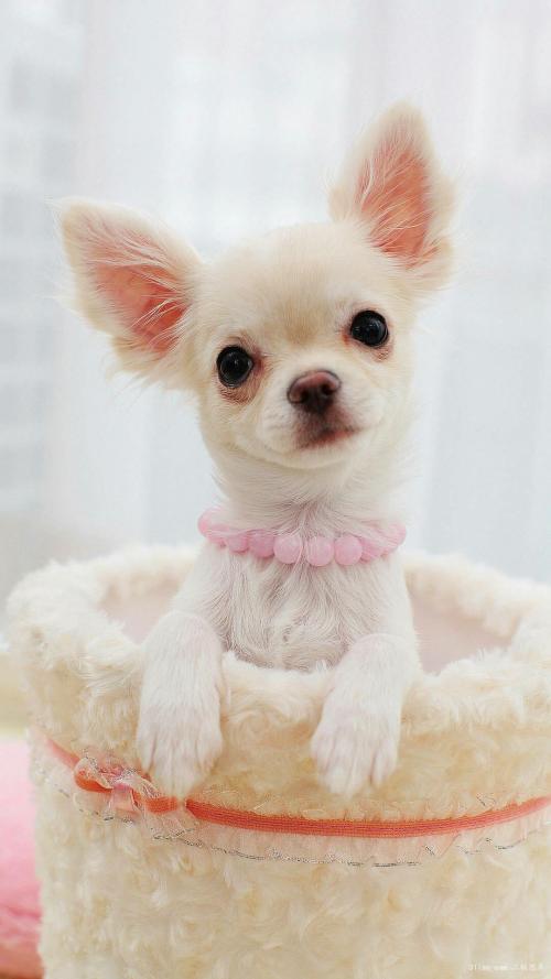 ںӹ2ȷ1֢״Ⱦг̹켣