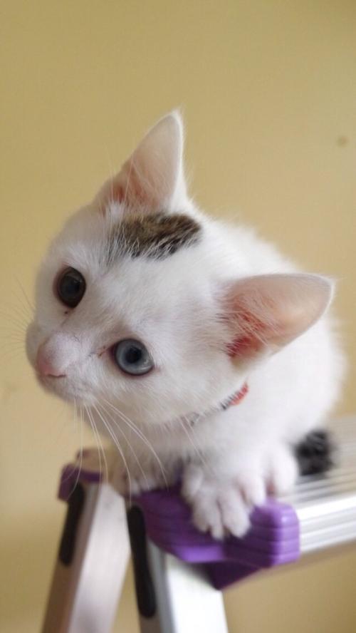 Լ͸¶ڿԱ˹F-16սѵڹҪ48ܡսʤ˹